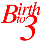 b3 logo